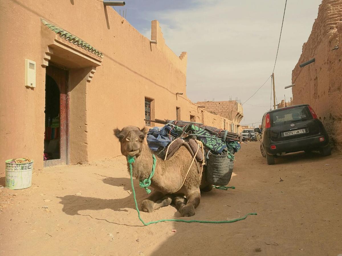 Authentic Riad & Activities Erg M'Hamid Bagian luar foto
